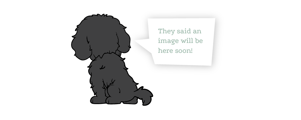 article fallback image
